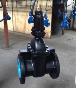 GAV-2104 OS&Y 250LB IRON GATE VALVE WITH BRONZE SEAT RING