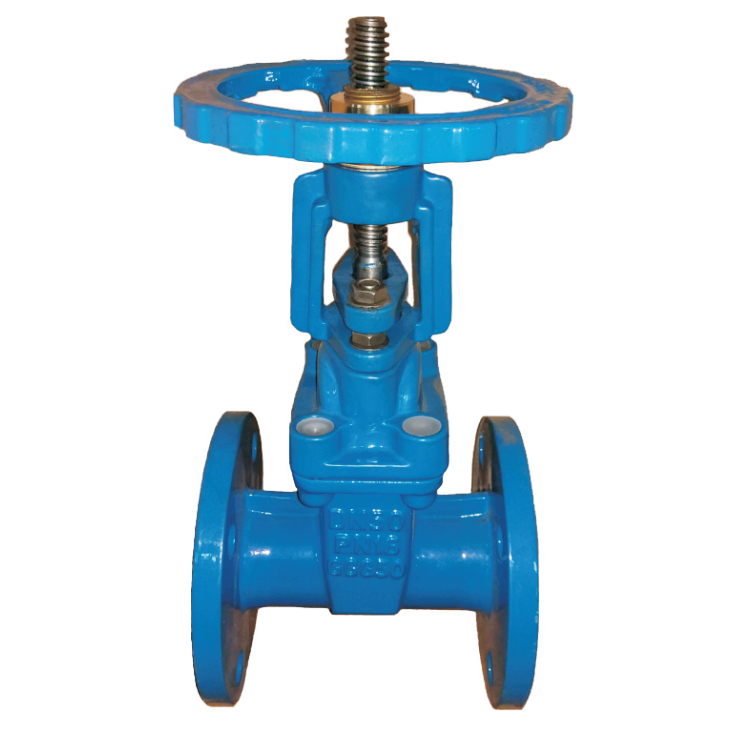 BS5163 OS&Y RESILIENT GATE VALVE