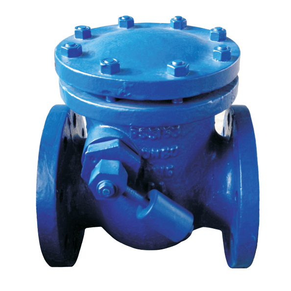 High reputation Rubber Seat Gate Valve - CHV-5105 MSS SP-71 SWING CHECK VALVE WITH HAMMER – FAR EASTERN