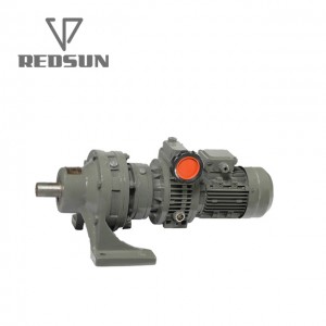Factory outlet DEVO Cycloidal pin speed reducer BWD XWD XWED Cycloidal gearbox