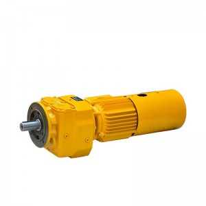 China High Quality Motor Gear Unit Manufacturer –  R Series Inline Helical Gear Motor –  Red Sun