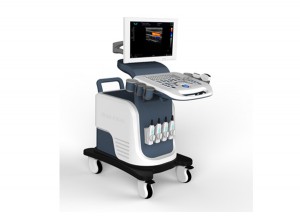 Factory Sale Various Widely Used XF7800 Full Digital Color Doppler 4d Ultrasound Trolley