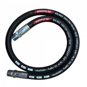Excellent quality Thermoplastic Rubber Hose - Hydraulic Hose DIN EN853 2SN/SAE100 R2AT – Sinopulse