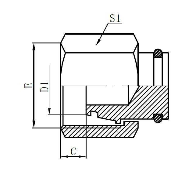 2020 wholesale price Pressure Drain Cleaner Hose - 9C-Metric Female 24° L.T. Plug – Sinopulse