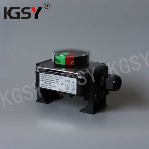 Excellent quality China Topworx Valvetop Rotary Position Monitors Explosion-Proof Limit Switch Box CT6