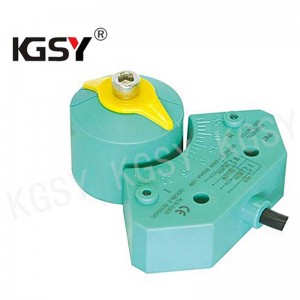 China Famous China Limit Switch Box Manufacturer Factory –  DS515 IP67 Waterproof Horseshoe Magnetic Induction Limit Switch Box – KGSY