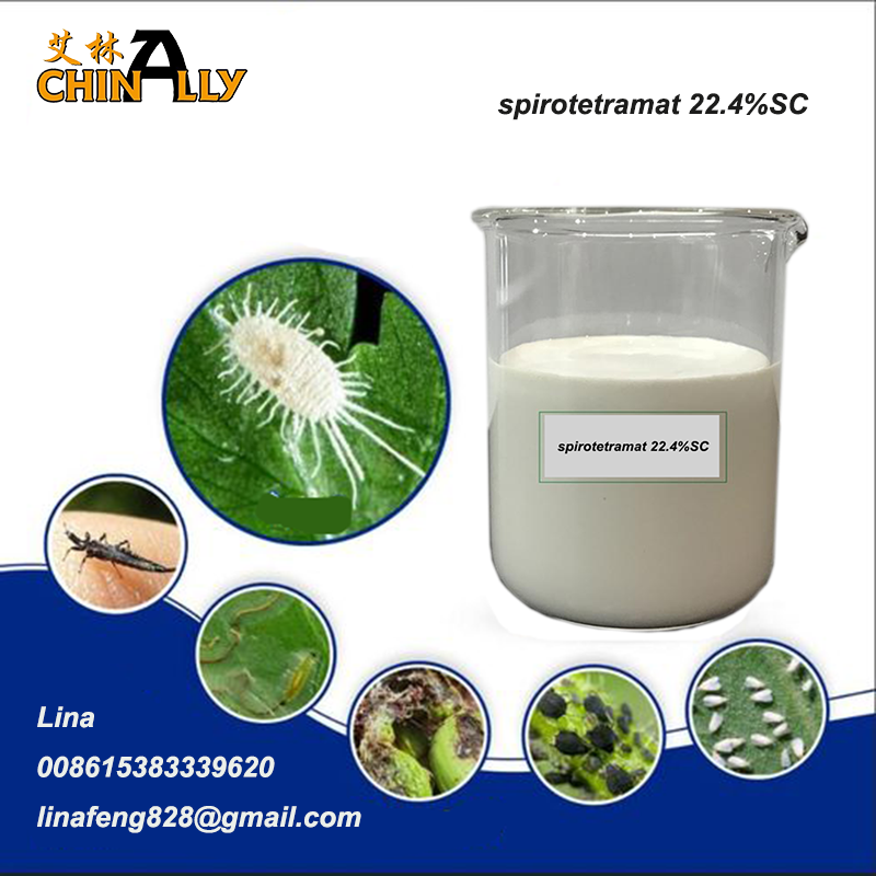 Wholesale Nitenpyram - China Manufacturer spirotetramat 22.4% SC Insecticide to control whitefly with competive price – Chinally