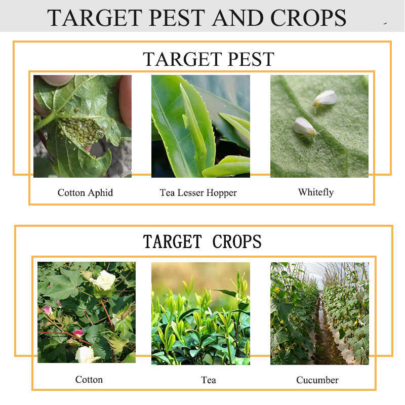 New product for resistant sucking pest and thrips Featured Image