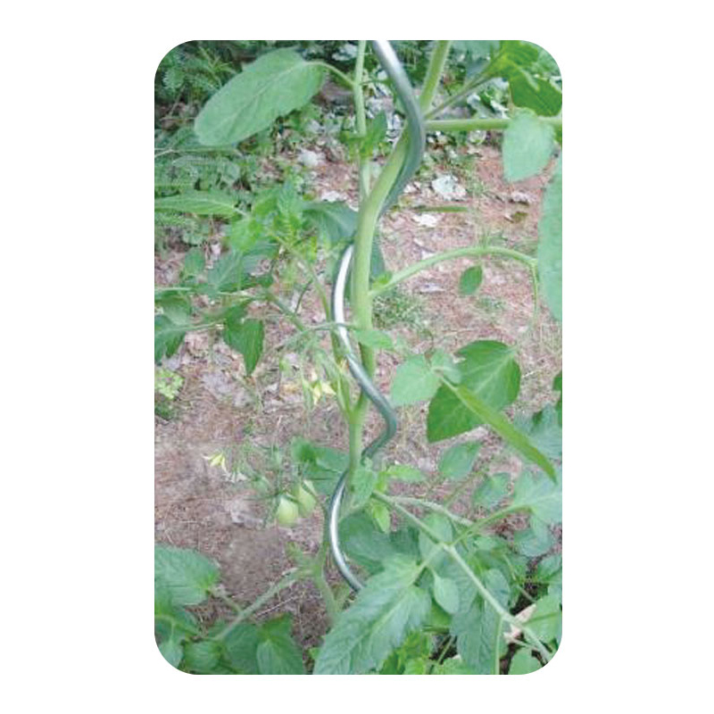 Tomato Spiral Stake Plant support Garden Stake