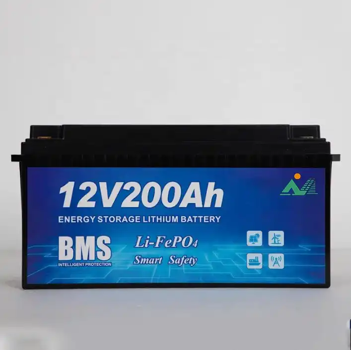 The future of energy storage: DKV-12V and 24V lithium-ion batteries