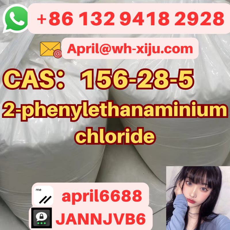 CAS 156-28-5 2-Phenylethylamine Hydrochloride/2-phenylethanaminium chloride XIJU Brand Whatsapp/Tel：+86 132 9418 2928