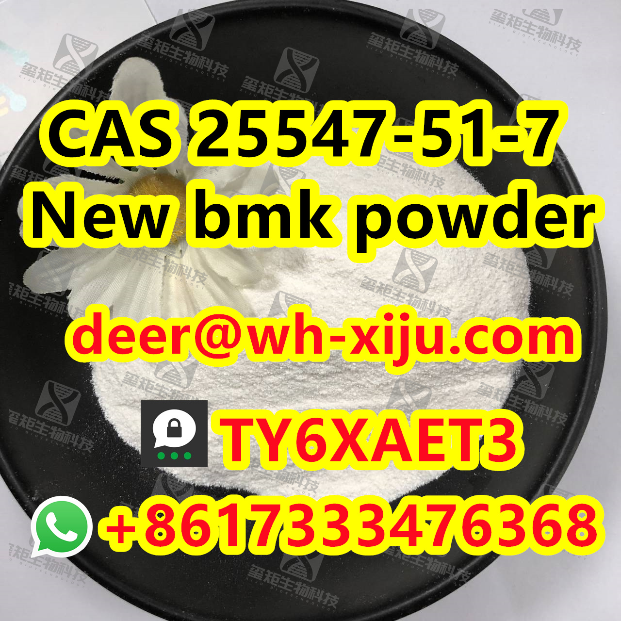 New bmk powder CAS 25547-51-7/5449-12-7, Threema: TY6XAET3 Whatsapp/Tel: +86 17333476368