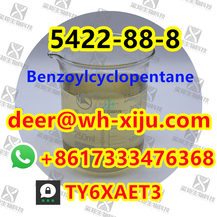Benzoylcyclopentane CAS 5422-88-8/91393/6740-86-9,Threema: TY6XAET3 Whatsapp/Tel: +86 17333476368 Foxmail/Skype: deer@wh-xiju.com