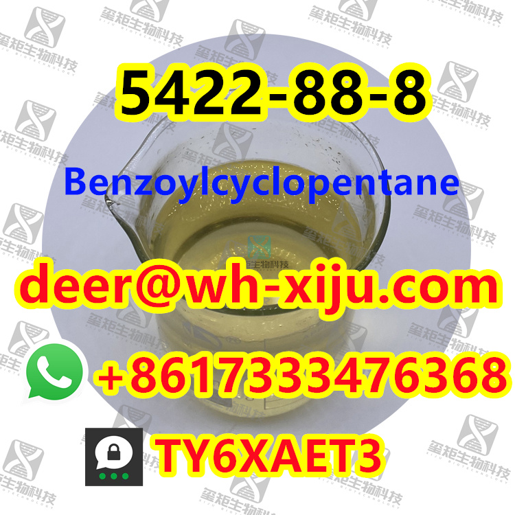 Benzoylcyclopentane CAS 5422-88-8/91393/6740-86-9,Threema: TY6XAET3 Whatsapp/Tel: +86 17333476368 Foxmail/Skype: deer@wh-xiju.com