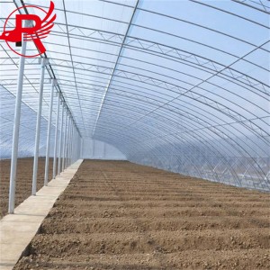 Plant and Residential Design Steel Structure Metal
