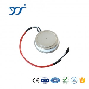 China wholesale IGCT - Press-Pack IGBT – Runau Electronics