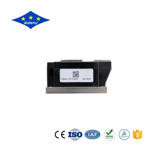 Chinese Professional Rectifier Block - Diode Module – Runau Electronics