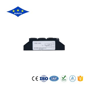 Chinese wholesale Silicon Rectifier - Thyristor Diode Module – Runau Electronics