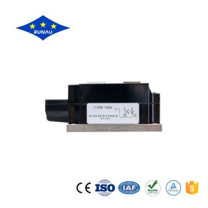 Professional China Power Module - Thyristor Module – Runau Electronics