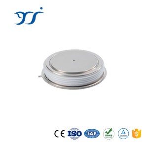 China Gold Supplier for Electrolytic - Fast Switch Thyristor – Runau Electronics