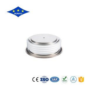 Chinese wholesale Standard Recovery - Standard Diode With High Junction Temperature – Runau Electronics