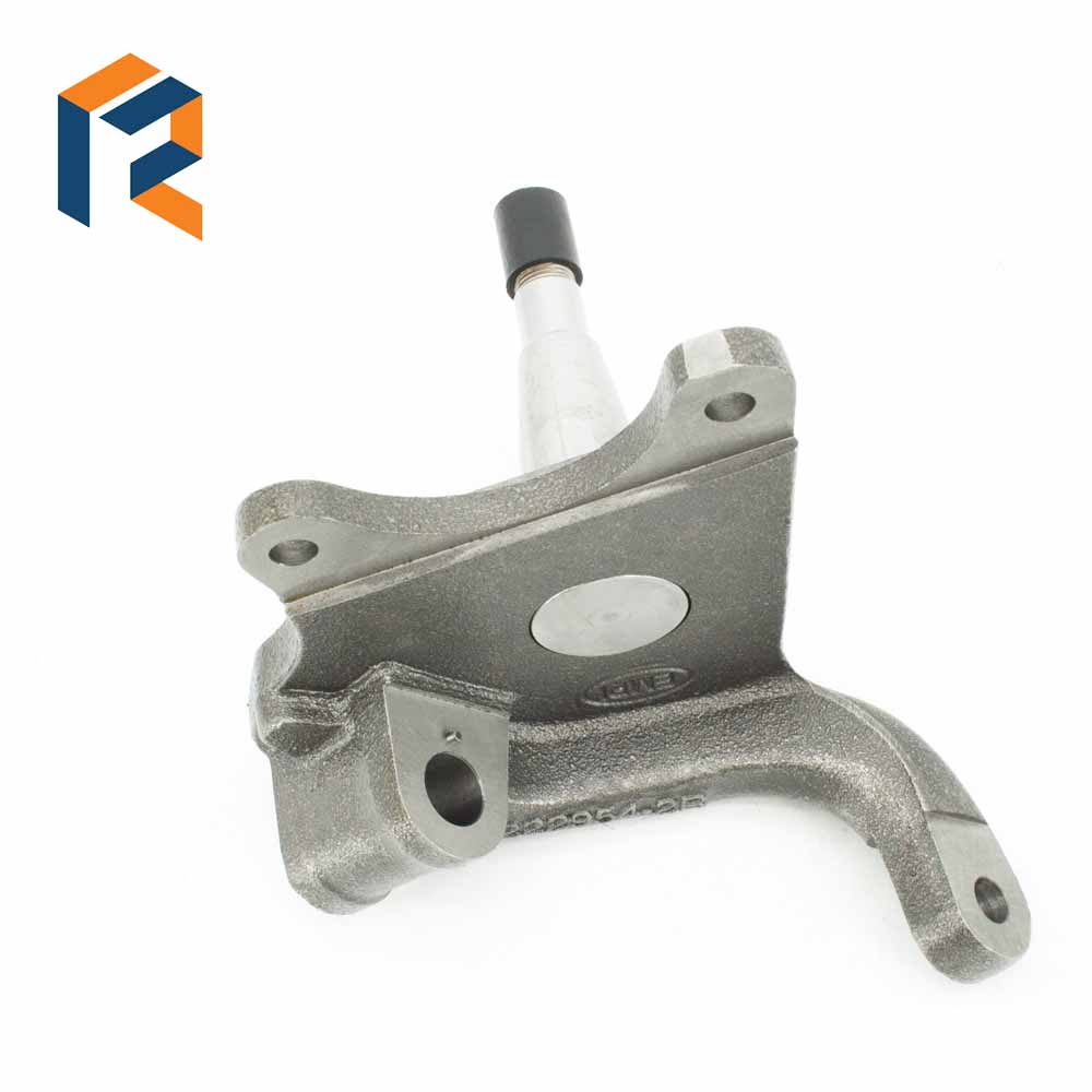 New Arrival China Knuckle Bearing - Steering Knuchles For  Volkswagen Beetle -Z2490 – TANGRUI