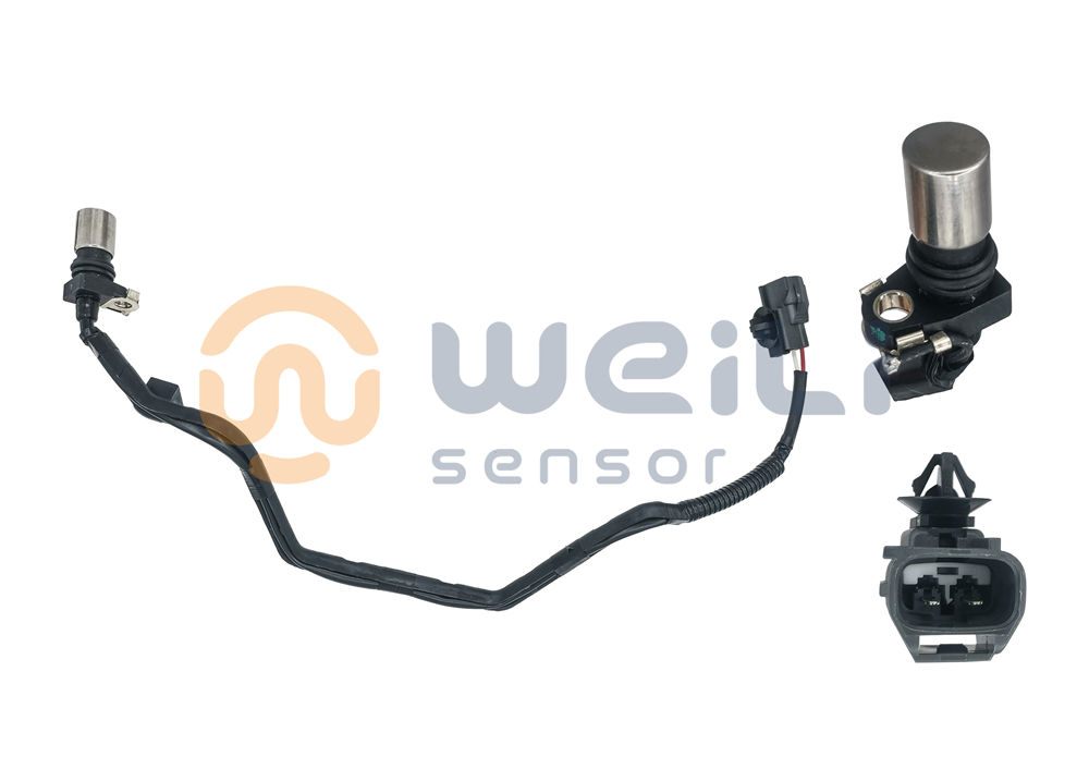 Ordinary Discount Fiat Crankshaft Sensor - Crankshaft Sensor 90919-05074    – Weili Sensor