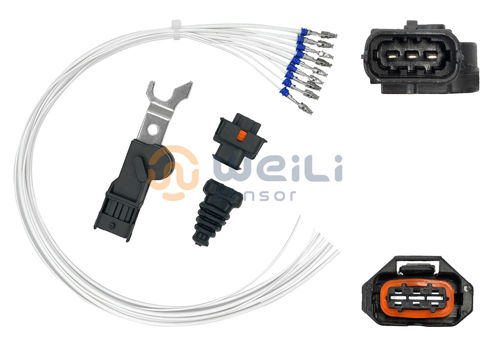 China Cheap price Vw G40 Sensor - Camshaft Sensor 9201903    – Weili Sensor