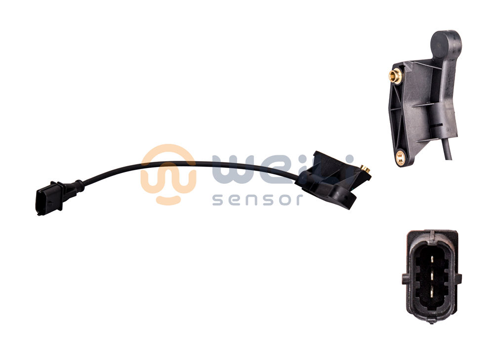 2021 High quality Renault Camshaft Sensor - Camshaft Sensor 1238425 90536064 1238425 9053606 – Weili Sensor