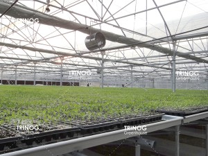 Mesh Greenhouse seed benches system with OEM design
