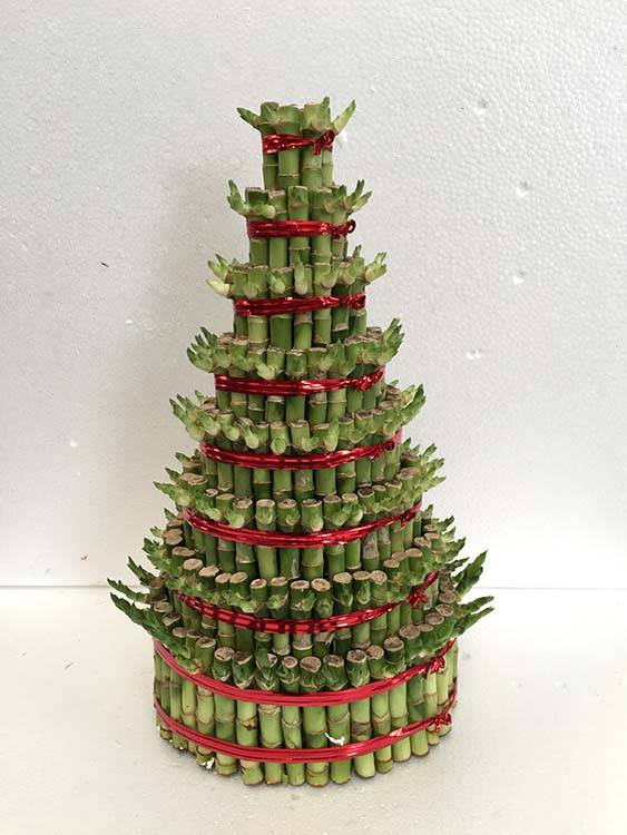 Home Decoration Tower Shaped Lucky Bamboo