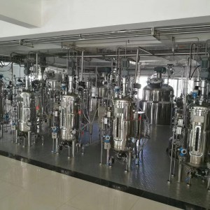 Fermentador Biorreactor de tanque de fermentación biolóxica industrial
