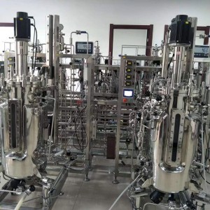 Fermenter صنعتي حياتياتي Fermentation ٽانڪي Bioreactor