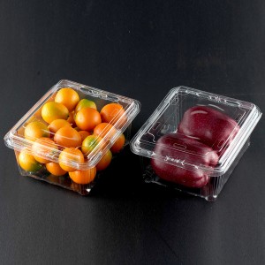 Disposable 100% Recycled RPET Plastic Container