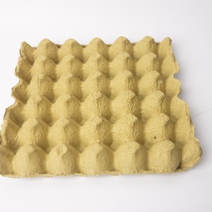 Biodegradable Compostable Paper Pulp 30 Egg Tray