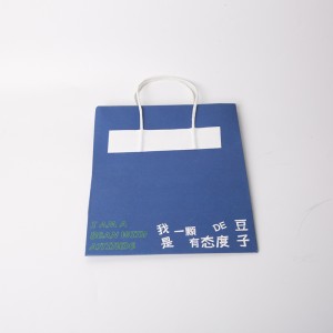 Disposable Craft Paper Take Away Bag