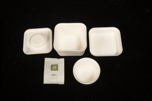 Renewable Compostable Multi-use Pulp Container