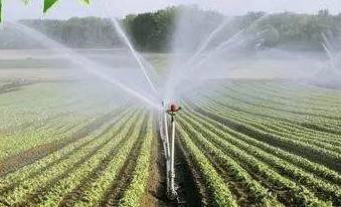 The efficacy and development trend of bio-organic fertilizer