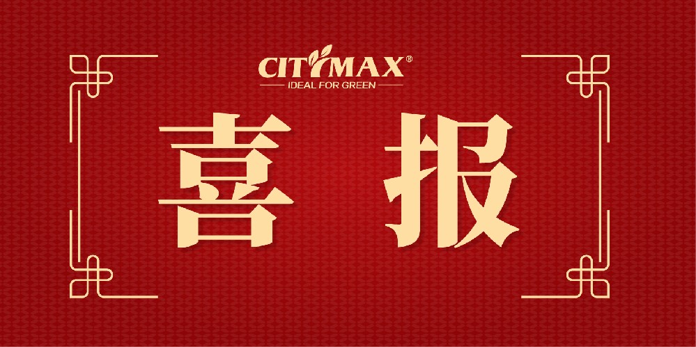 Good news--Another Honor to Citymax Group