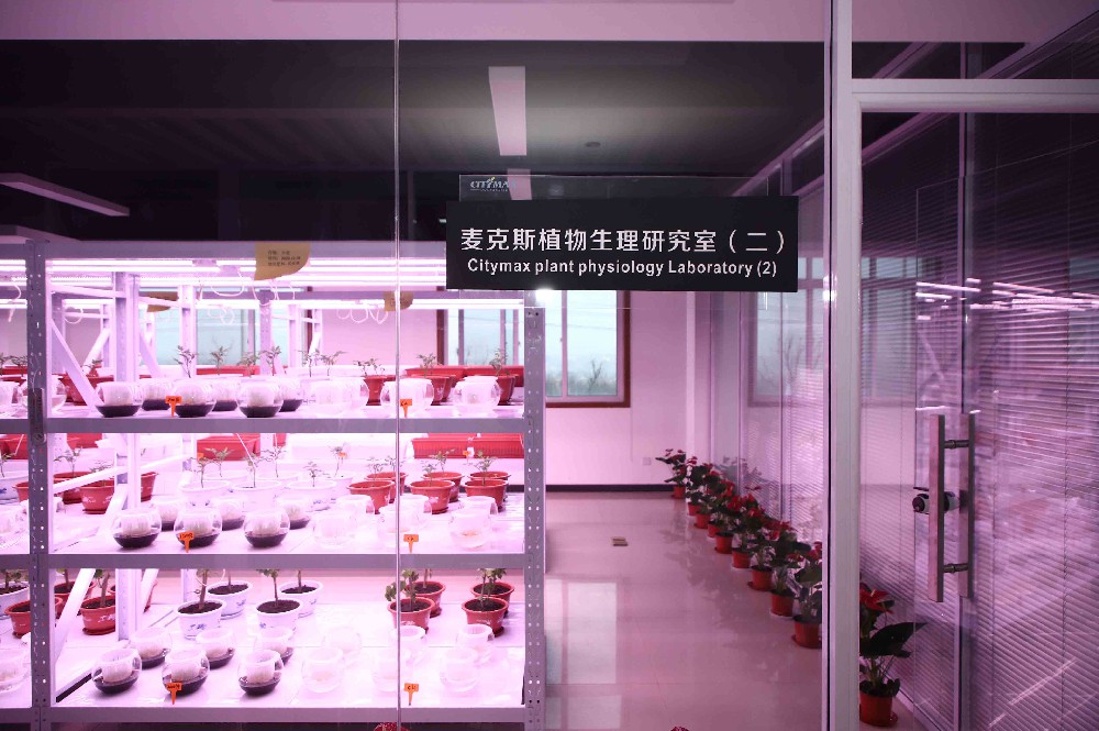 Citymax Plantfisiologielaboratorium