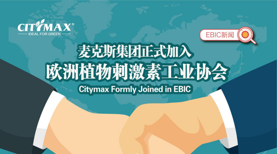 Citymax menyertai EBIC