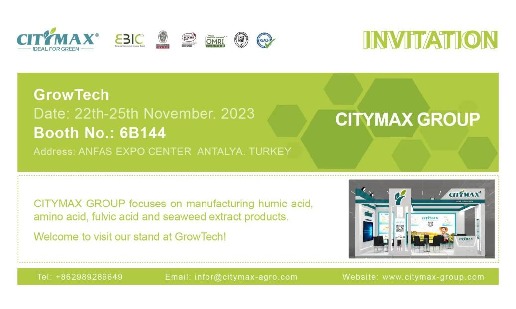 CityMax Europe & Middle East Business Tour