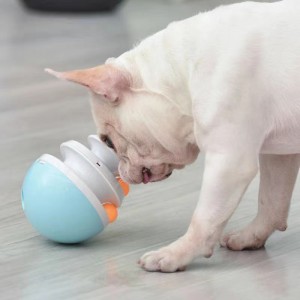 Pet feeding toy ball