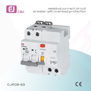 China Manufacturer CJRO8-63 2P 10kA 63A 30mA RCBO,Residual Current Circuit Breaker with Overload Protection