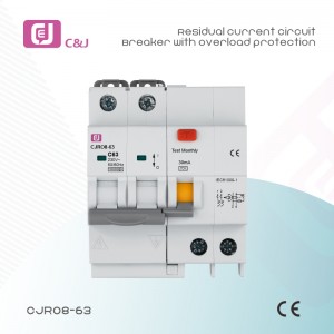 China Manufacturer CJRO8-63 2P 10kA 63A 30mA RCBO,Residual Current Circuit Breaker with Overload Protection