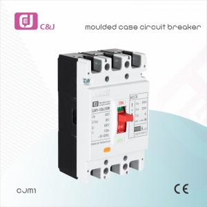 China Manufacturer CJM1-125L/3300 22kA 100A Electrical Moulded case circuit breaker