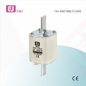 NH2 Bolt connecting fast fuse switch Square Ceramic Fuse with fuse holder