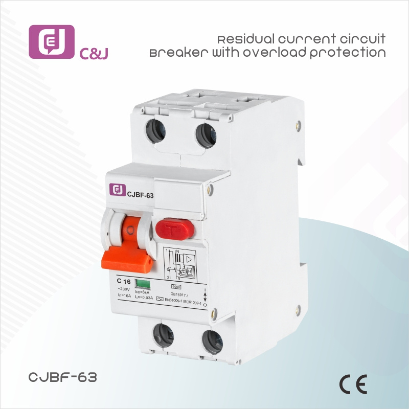 Residual Current Circuit Breaker  With overload pr2