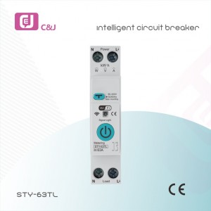 Hot Selling 1P+N Metering Type WiFi Smart Switch Energy Meter Circuit Breaker with leakage protection