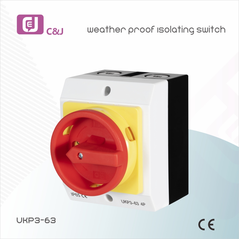 CE Certification Rccb Switch Factory - UKP Series IP65 Weather Proof Isolating Switch  – C&J
